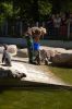 Tierpark-Neumuenster-130824-DSC_0160.JPG