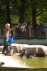 Tierpark-Neumuenster-130824-DSC_0162.JPG