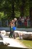 Tierpark-Neumuenster-130824-DSC_0163.JPG