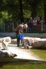 Tierpark-Neumuenster-130824-DSC_0165.JPG