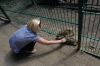 Tierpark-Neumuenster-130824-DSC_0219.JPG