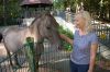 Tierpark-Neumuenster-130824-DSC_0542.JPG