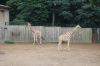 Zoo-Schwerin-150815-DSC_0024.JPG