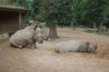 Zoo-Schwerin-150815-DSC_0058.JPG