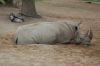 Zoo-Schwerin-150815-DSC_0060.JPG