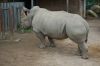 Zoo-Schwerin-150815-DSC_0074.JPG