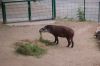 Zoo-Schwerin-150815-DSC_0272.JPG