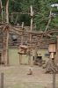 Zoo-Schwerin-150815-DSC_0316.JPG