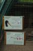 Zoo-Schwerin-150815-DSC_0332.JPG
