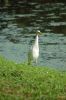 Zoo-Schwerin-150815-DSC_0360.JPG