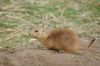 Zoo-Schwerin-150815-DSC_0379.JPG